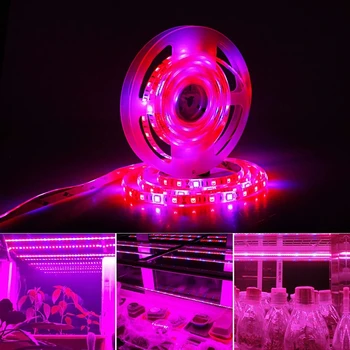 12V Cresce a Luz Phytolamp Espectro Completo de 5M 300 LEDs 5050 SMD LED Strip para Plantas de Crescimento das Sementes de efeito Estufa Interior Hidropônico