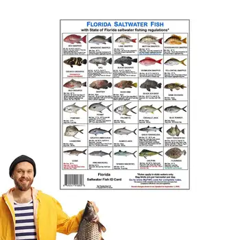 Flórida Peixes De Água Salgada) Cartão De Identificação De Espécies De Peixes Guia Com Ímãs De Pescadores Cartão De Identificação